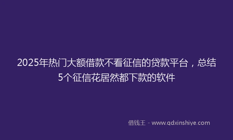2025年热门大额借款不看征信的贷款平台，总结5个征信花居然都下款的软件