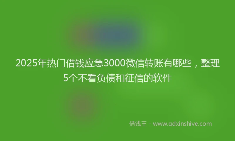 2025年热门借钱应急3000微信转账有哪些，整理5个不看负债和征信的软件