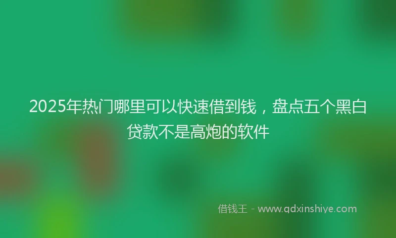 2025年热门哪里可以快速借到钱，盘点五个黑白贷款不是高炮的软件