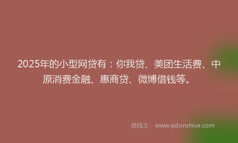 2025年的小型网贷有：你我贷、美团生活费、中原消费金融、惠商贷、微博借钱等。