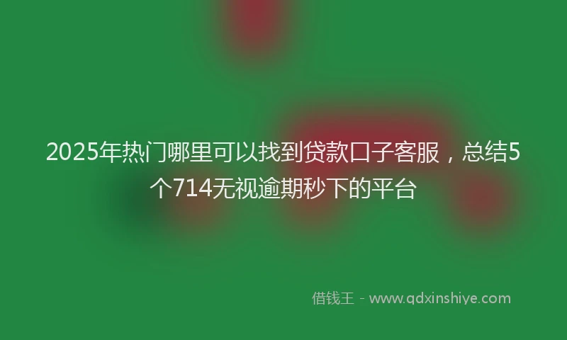 2025年热门哪里可以找到贷款口子客服，总结5个714无视逾期秒下的平台