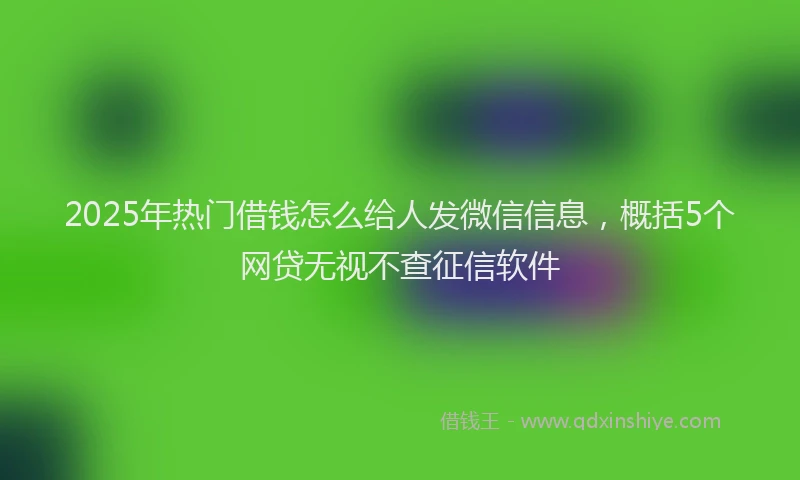 2025年热门借钱怎么给人发微信信息，概括5个网贷无视不查征信软件