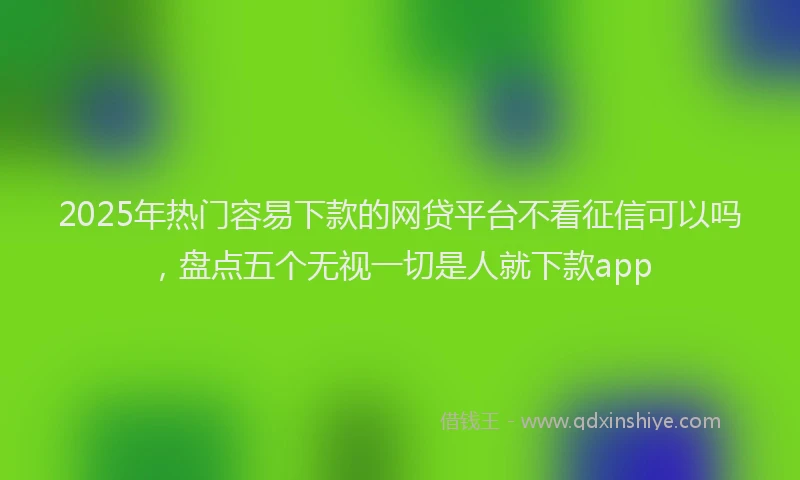 2025年热门容易下款的网贷平台不看征信可以吗，盘点五个无视一切是人就下款app