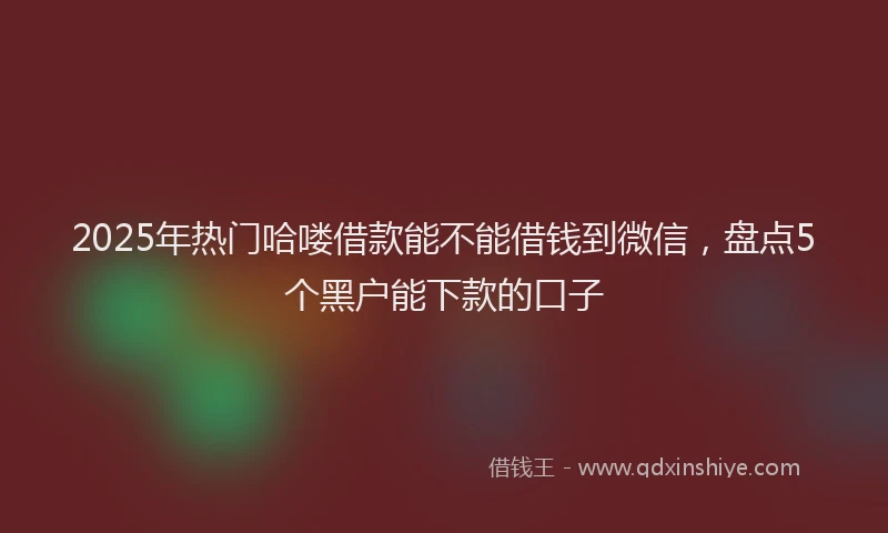2025年热门哈喽借款能不能借钱到微信，盘点5个黑户能下款的口子