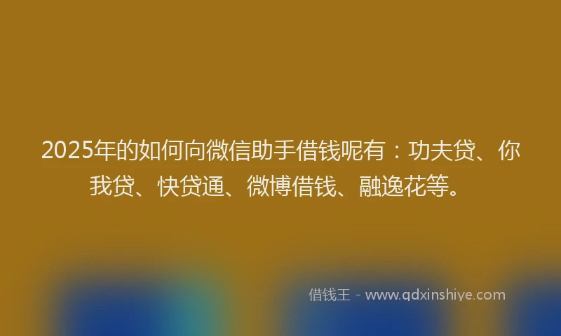 2025年的如何向微信助手借钱呢有：功夫贷、你我贷、快贷通、微博借钱、融逸花等。