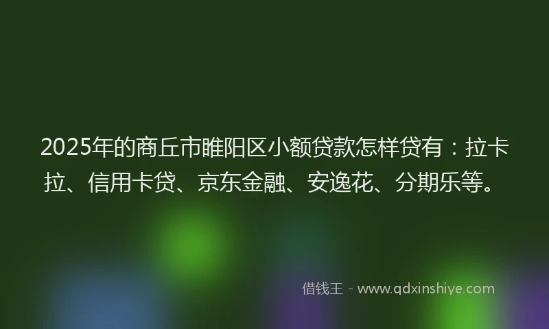 2025年的商丘市睢阳区小额贷款怎样贷有：拉卡拉、信用卡贷、京东金融、安逸花、分期乐等。