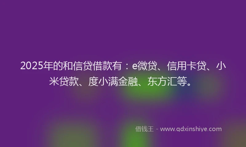 2025年的和信贷借款有：e微贷、信用卡贷、小米贷款、度小满金融、东方汇等。