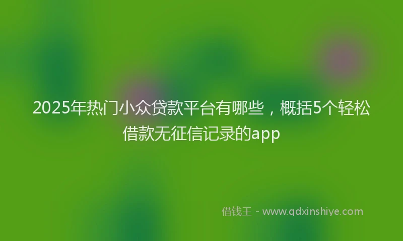 2025年热门小众贷款平台有哪些，概括5个轻松借款无征信记录的app
