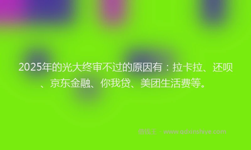2025年的光大终审不过的原因有：拉卡拉、还呗、京东金融、你我贷、美团生活费等。
