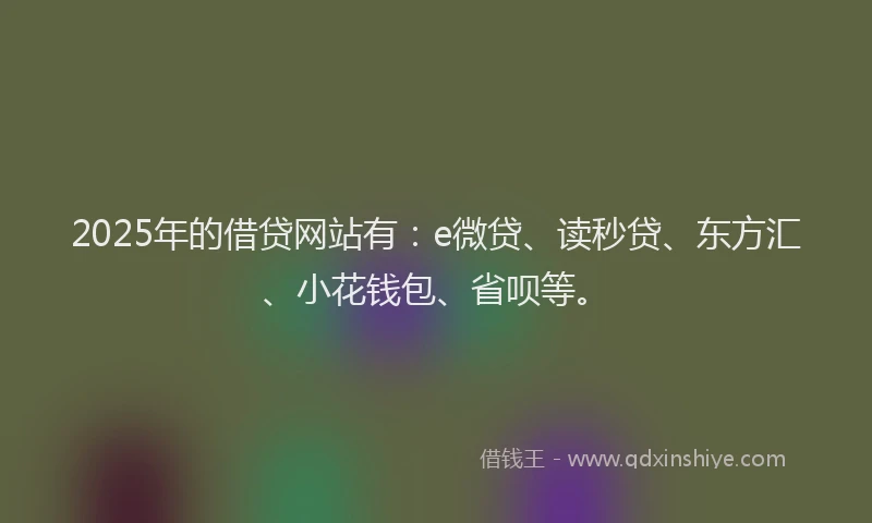 2025年的借贷网站有:e微贷、读秒贷、东方汇、小花钱包、省呗等。