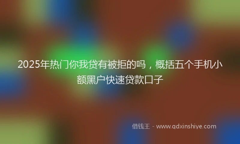 2025年热门你我贷有被拒的吗，概括五个手机小额黑户快速贷款口子