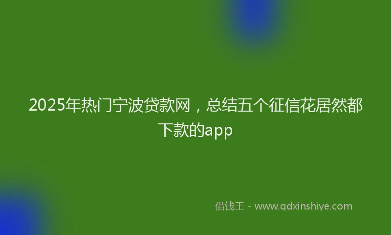 2025年热门宁波贷款网，总结五个征信花居然都下款的app