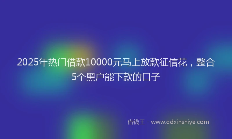 2025年热门借款10000元马上放款征信花，整合5个黑户能下款的口子