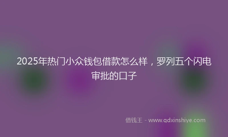 2025年热门小众钱包借款怎么样，罗列五个闪电审批的口子