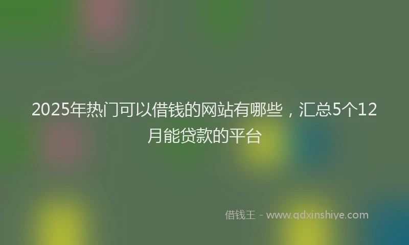 2025年热门可以借钱的网站有哪些，汇总5个12月能贷款的平台
