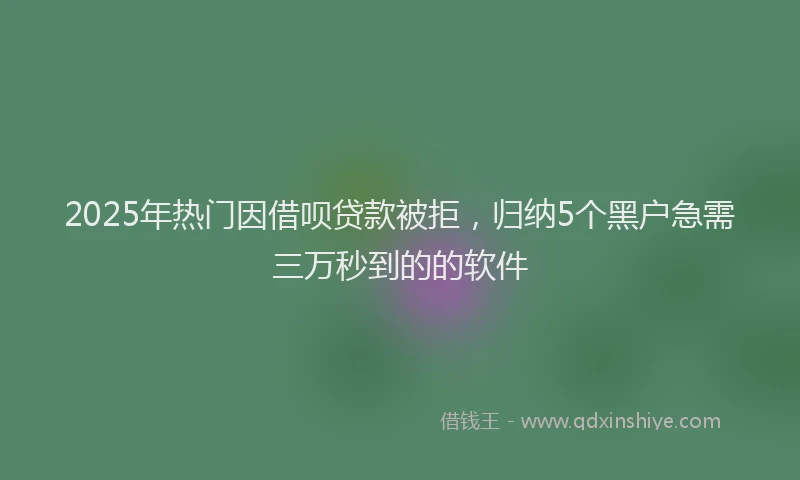 2025年热门因借呗贷款被拒，归纳5个黑户急需三万秒到的的软件