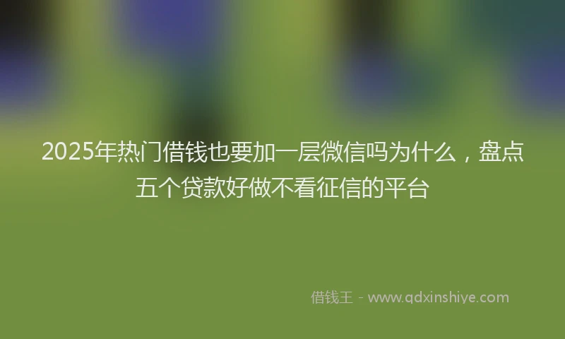 2025年热门借钱也要加一层微信吗为什么，盘点五个贷款好做不看征信的平台