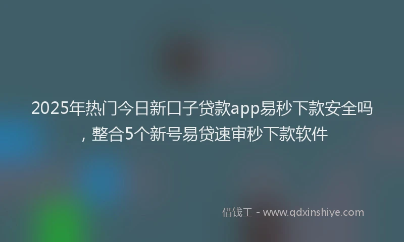 2025年热门今日新口子贷款app易秒下款安全吗，整合5个新号易贷速审秒下款软件