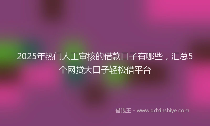 2025年热门人工审核的借款口子有哪些，汇总5个网贷大口子轻松借平台