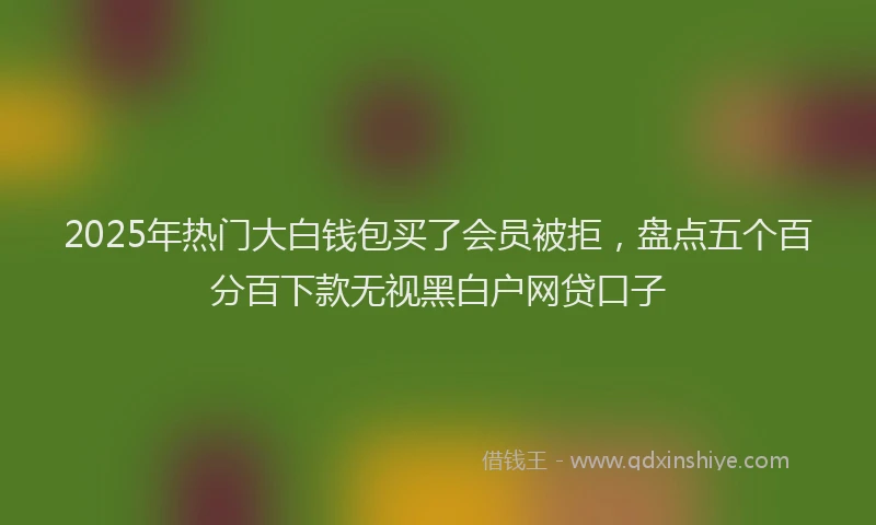 2025年热门大白钱包买了会员被拒，盘点五个百分百下款无视黑白户网贷口子