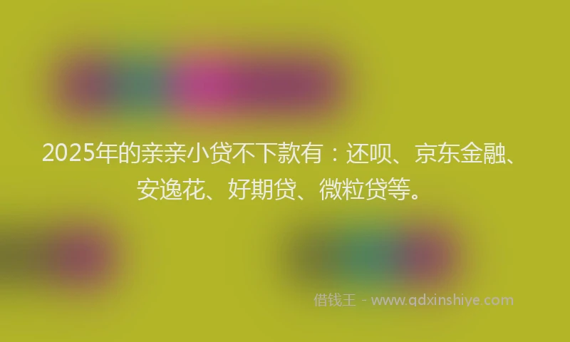 2025年的亲亲小贷不下款有：还呗、京东金融、安逸花、好期贷、微粒贷等。