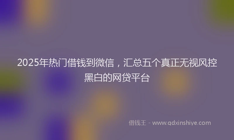 2025年热门借钱到微信，汇总五个真正无视风控黑白的网贷平台