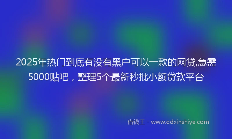 2025年热门到底有没有黑户可以一款的网贷,急需5000贴吧，整理5个最新秒批小额贷款平台