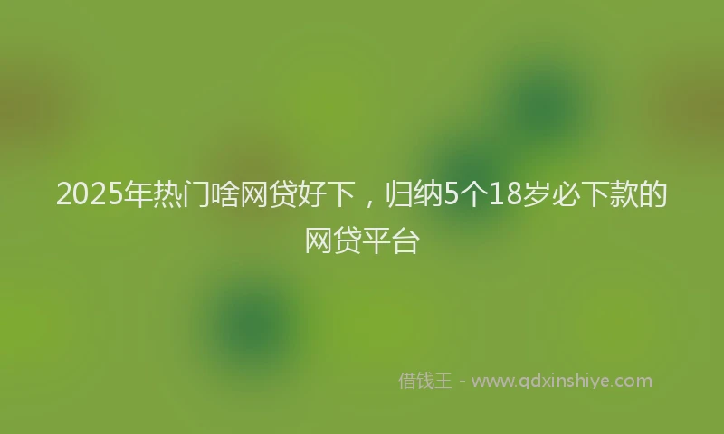 2025年热门啥网贷好下，归纳5个18岁必下款的网贷平台