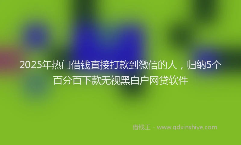2025年热门借钱直接打款到微信的人，归纳5个百分百下款无视黑白户网贷软件