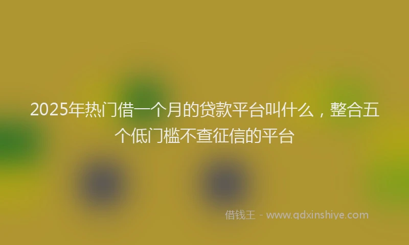 2025年热门借一个月的贷款平台叫什么，整合五个低门槛不查征信的平台