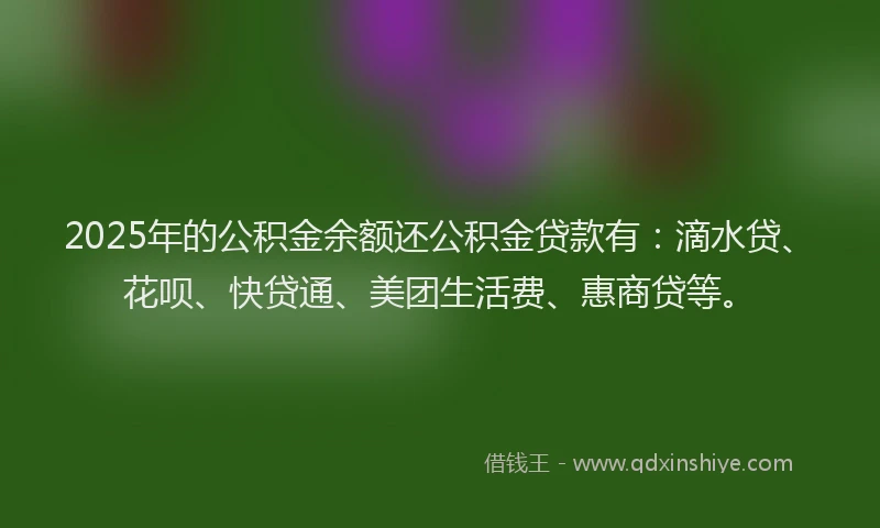 2025年的公积金余额还公积金贷款有：滴水贷、花呗、快贷通、美团生活费、惠商贷等。