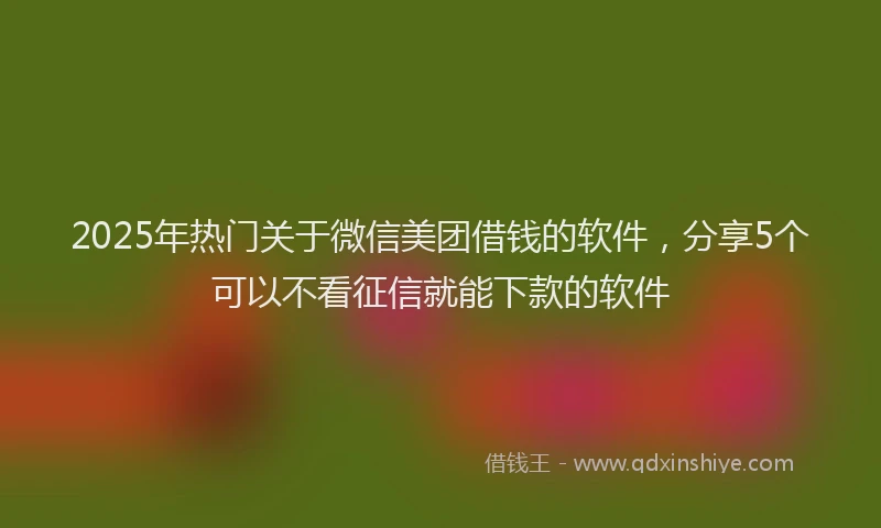 2025年热门关于微信美团借钱的软件，分享5个可以不看征信就能下款的软件