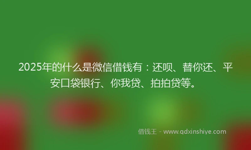2025年的什么是微信借钱有：还呗、替你还、平安口袋银行、你我贷、拍拍贷等。