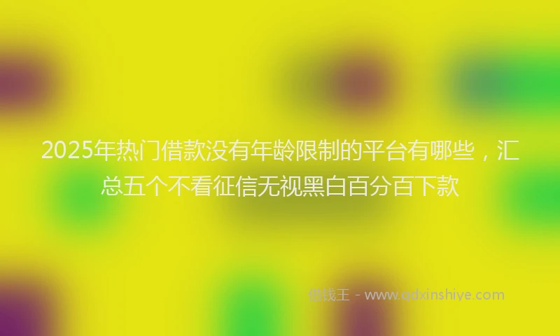 2025年热门借款没有年龄限制的平台有哪些，汇总五个不看征信无视黑白百分百下款