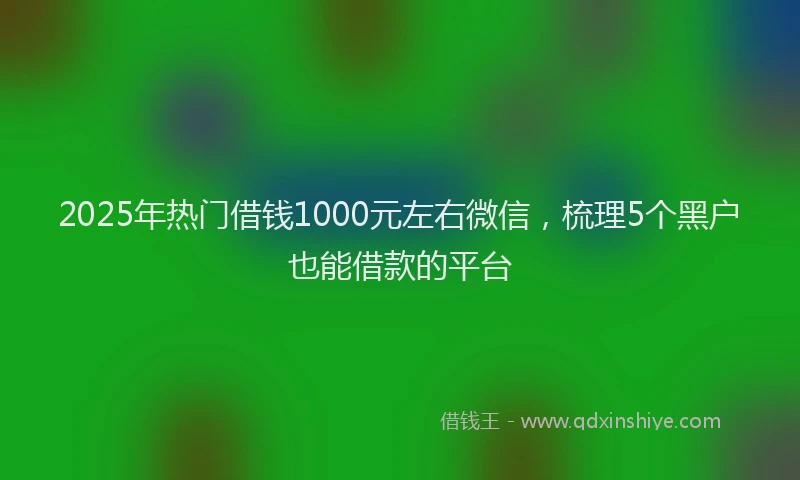 2025年热门借钱1000元左右微信，梳理5个黑户也能借款的平台