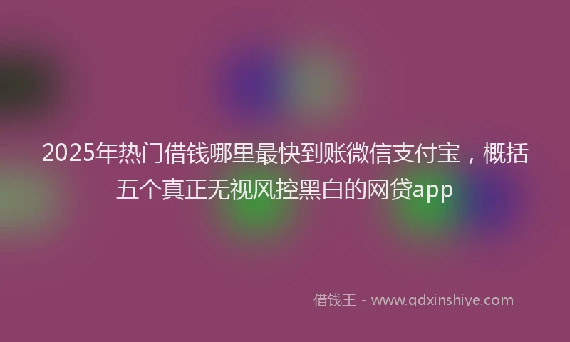 2025年热门借钱哪里最快到账微信支付宝，概括五个真正无视风控黑白的网贷app
