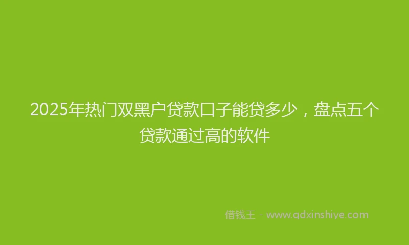 2025年热门双黑户贷款口子能贷多少，盘点五个贷款通过高的软件