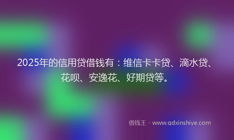 2025年的信用贷借钱有：维信卡卡贷、滴水贷、花呗、安逸花、好期贷等。