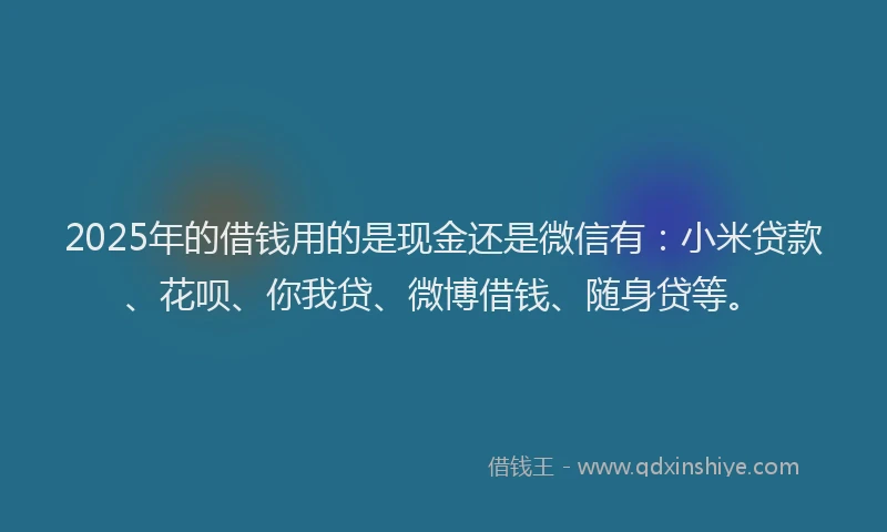 2025年的借钱用的是现金还是微信有：小米贷款、花呗、你我贷、微博借钱、随身贷等。