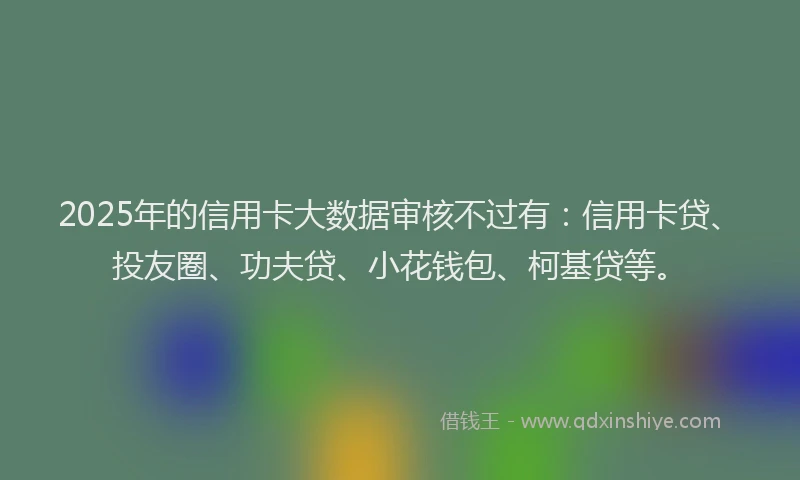 2025年的信用卡大数据审核不过有：信用卡贷、投友圈、功夫贷、小花钱包、柯基贷等。