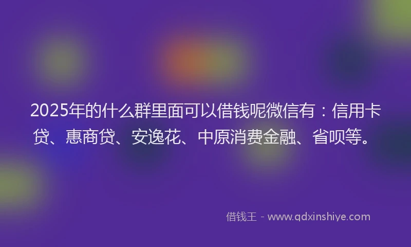 2025年的什么群里面可以借钱呢微信有：信用卡贷、惠商贷、安逸花、中原消费金融、省呗等。