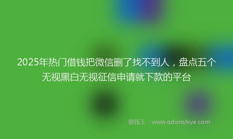 2025年热门借钱把微信删了找不到人，盘点五个无视黑白无视征信申请就下款的平台