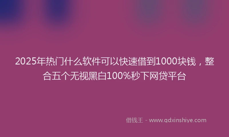 2025年热门什么软件可以快速借到1000块钱，整合五个无视黑白100%秒下网贷平台