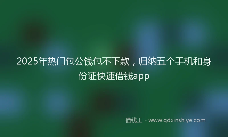 2025年热门包公钱包不下款，归纳五个手机和身份证快速借钱app