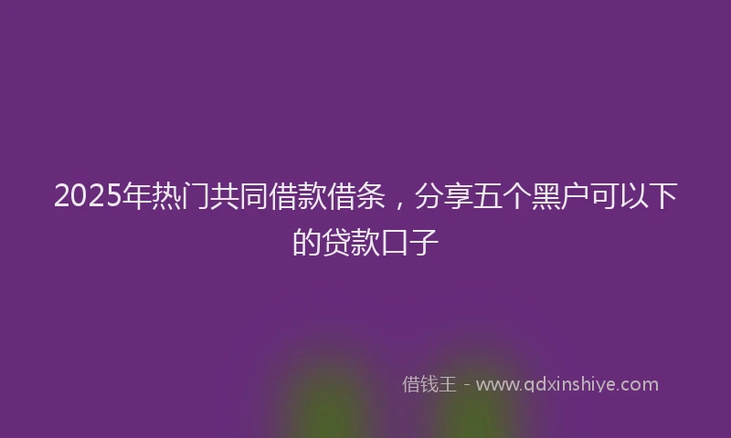 2025年热门共同借款借条，分享五个黑户可以下的贷款口子