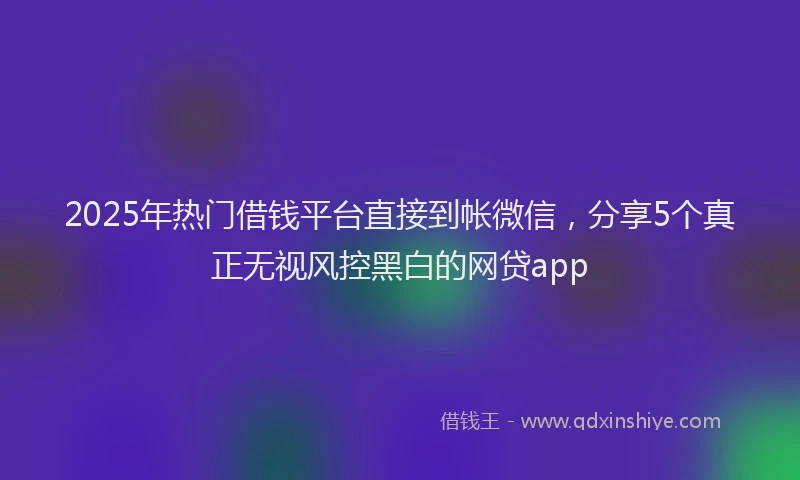 2025年热门借钱平台直接到帐微信，分享5个真正无视风控黑白的网贷app