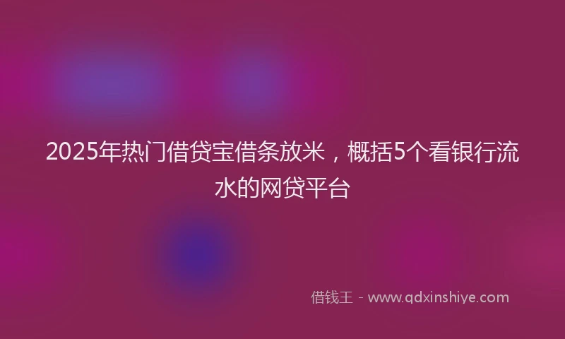 2025年热门借贷宝借条放米，概括5个看银行流水的网贷平台