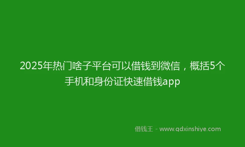 2025年热门啥子平台可以借钱到微信，概括5个手机和身份证快速借钱app