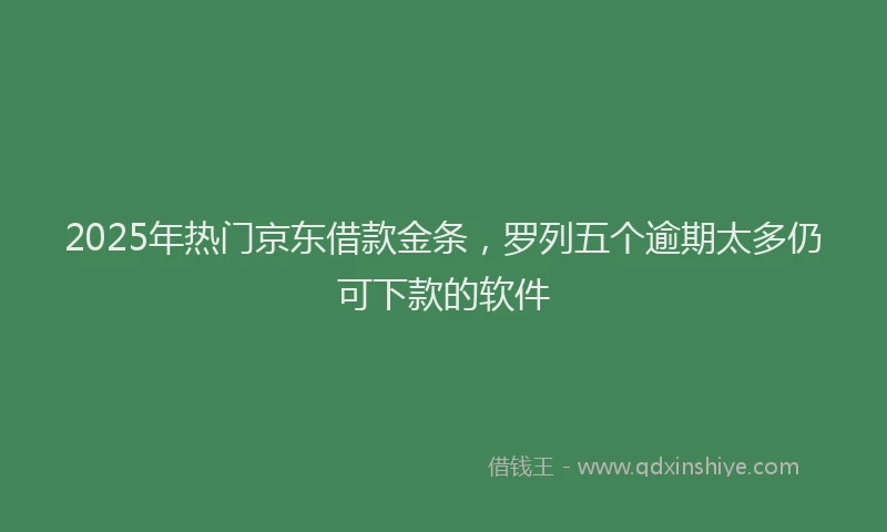 2025年热门京东借款金条，罗列五个逾期太多仍可下款的软件