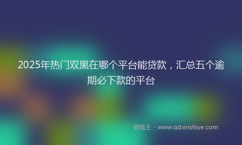 2025年热门双黑在哪个平台能贷款，汇总五个逾期必下款的平台